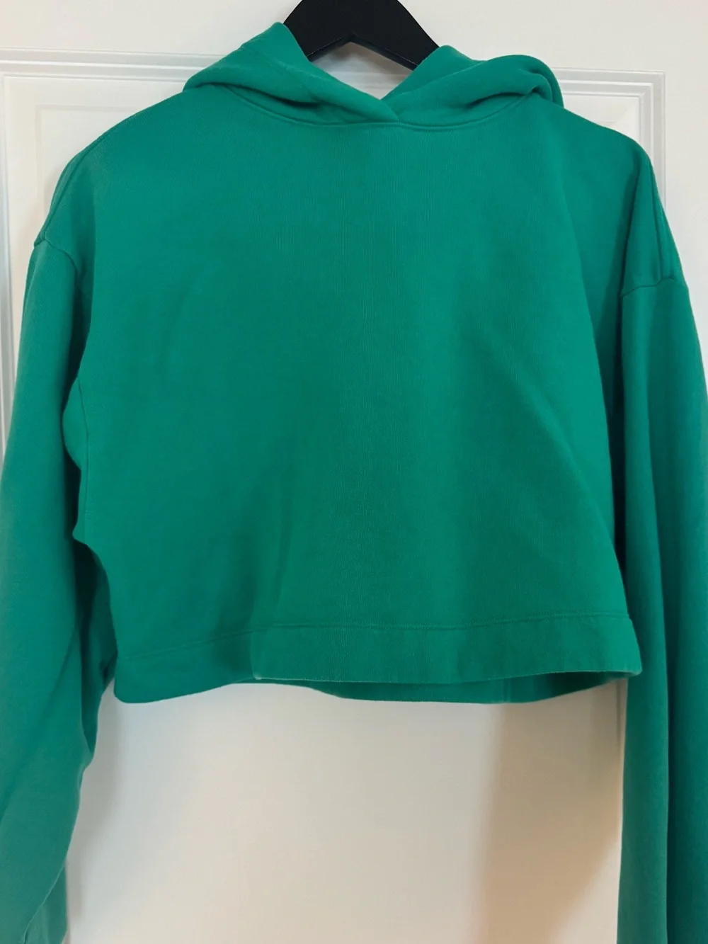 Alo Spruce Green Bae Hoodie/ Preloved/Very Good/ Small
